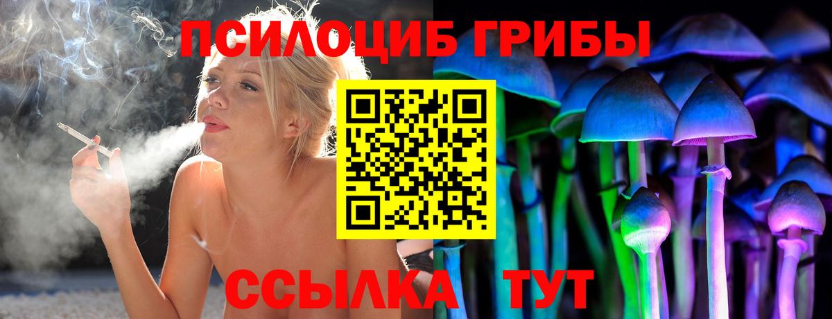 Галлюциногенные грибы Psilocybine cubensis  Галлюциногенные грибы мухоморы  Междуреченск  Вход с VPN 